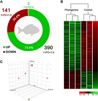 Carvacrol, Thymol, and Garlic Essential Oil Promote Skin Innate Immunity in Gilthead Seabream (Sparus aurata) Through the Multifactorial Modulation of the Secretory Pathway and Enhancement of Mucus Protective Capacity